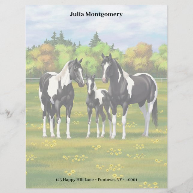 Black Pinto Paint Quarter Horses In Summer Pasture Letterhead (Front)