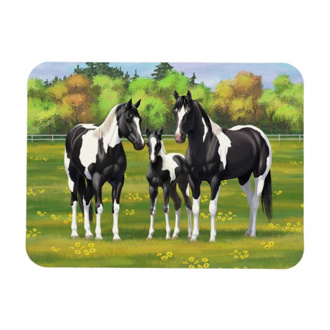 Black Pinto Paint Quarter Horses In Summer Pasture Magnet (Horizontal)