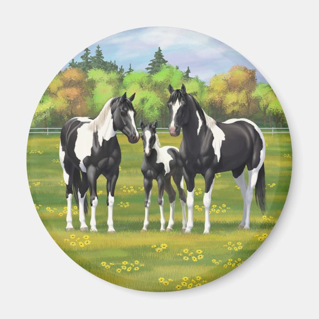 Black Pinto Paint Quarter Horses In Summer Pasture Magnet (Front)