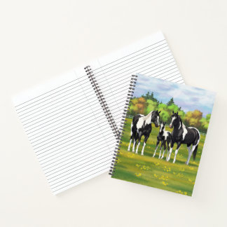 Black Pinto Paint Quarter Horses In Summer Pasture Notebook