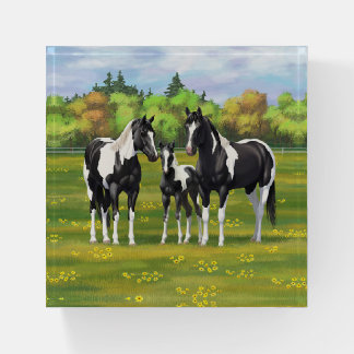 Black Pinto Paint Quarter Horses In Summer Pasture Paperweight