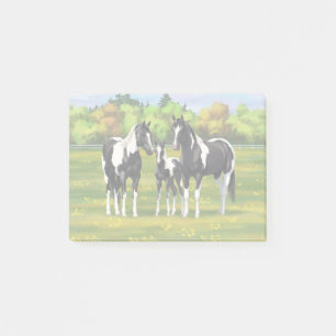 Black Pinto Paint Quarter Horses In Summer Pasture Post-it Notes