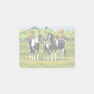Black Pinto Paint Quarter Horses In Summer Pasture Post-it Notes