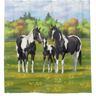 Black Pinto Paint Quarter Horses In Summer Pasture Shower Curtain