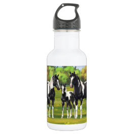 Black Pinto Paint Quarter Horses In Summer Pasture Stainless Steel Water Bottle