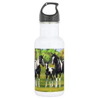 Black Pinto Paint Quarter Horses In Summer Pasture Stainless Steel Water Bottle