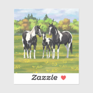 Black Pinto Paint Quarter Horses In Summer Pasture Sticker