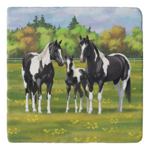 Black Pinto Paint Quarter Horses In Summer Pasture Trivet