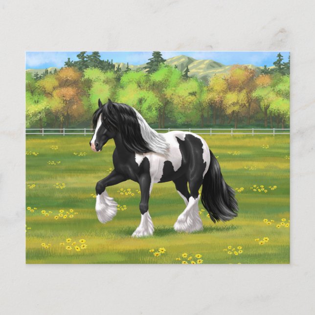 Black Pinto Piebald Gypsy Vanner Draft Horse (Front)