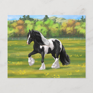 Black Pinto Piebald Gypsy Vanner Draft Horse