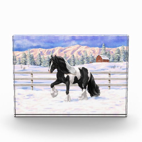Black Pinto Piebald Gypsy Vanner Draft Horse Acrylic Award