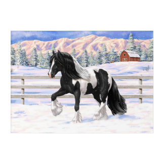 Black Pinto Piebald Gypsy Vanner Draft Horse Acrylic Print