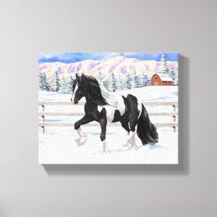 Black Pinto Piebald Gypsy Vanner Draft Horse Canvas Print