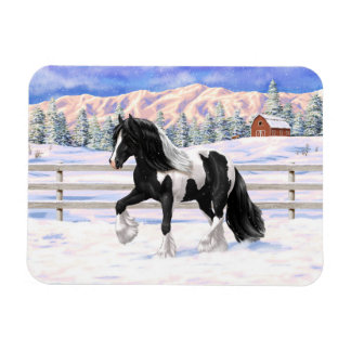 Black Pinto Piebald Gypsy Vanner Draft Horse Magnet