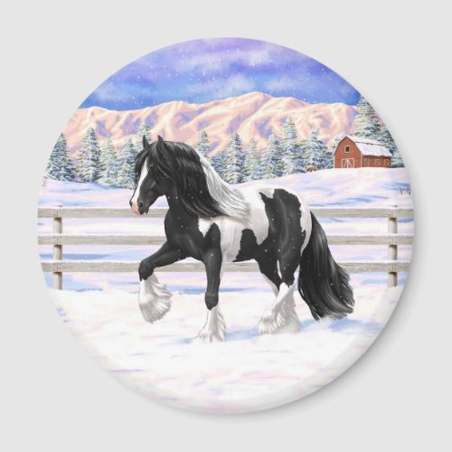 Black Pinto Piebald Gypsy Vanner Draft Horse Magnet