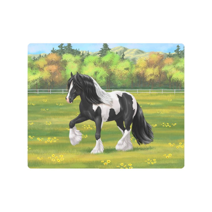 Black Pinto Piebald Gypsy Vanner Draft Horse Metal Print Zazzle