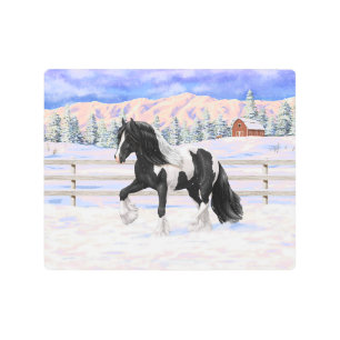 Black Pinto Piebald Gypsy Vanner Draft Horse Metal Print