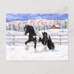 Black Pinto Piebald Gypsy Vanner Draft Horse Postcard