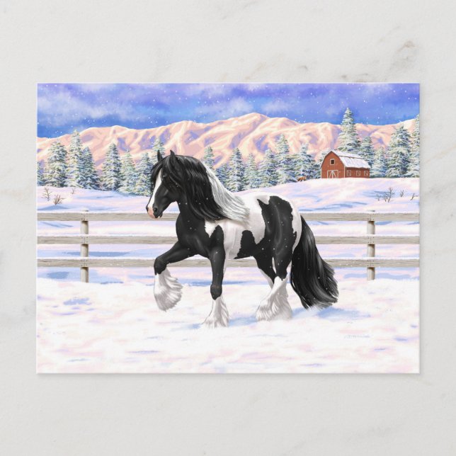 Black Pinto Piebald Gypsy Vanner Draft Horse Postcard (Front)