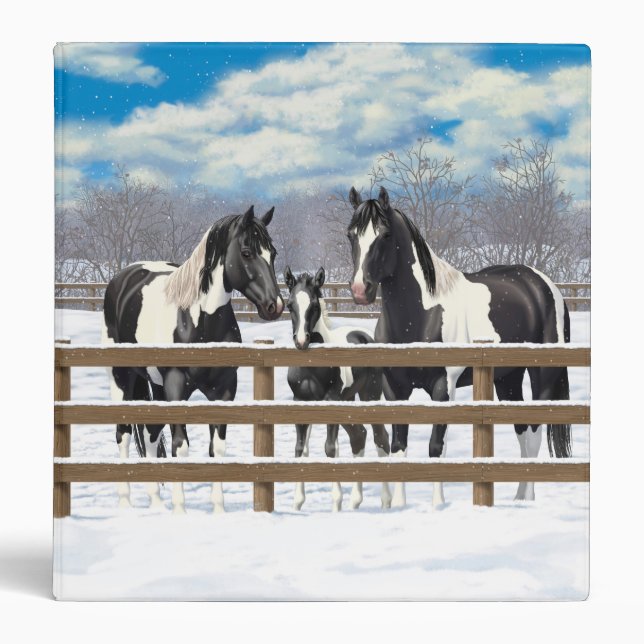 Black Pinto Quarter Horse Paint Horses In Snow Binder (Front)