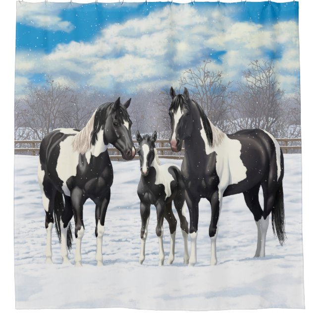 Black Pinto Quarter Horse Paint Horses In Snow Shower Curtain (Front)