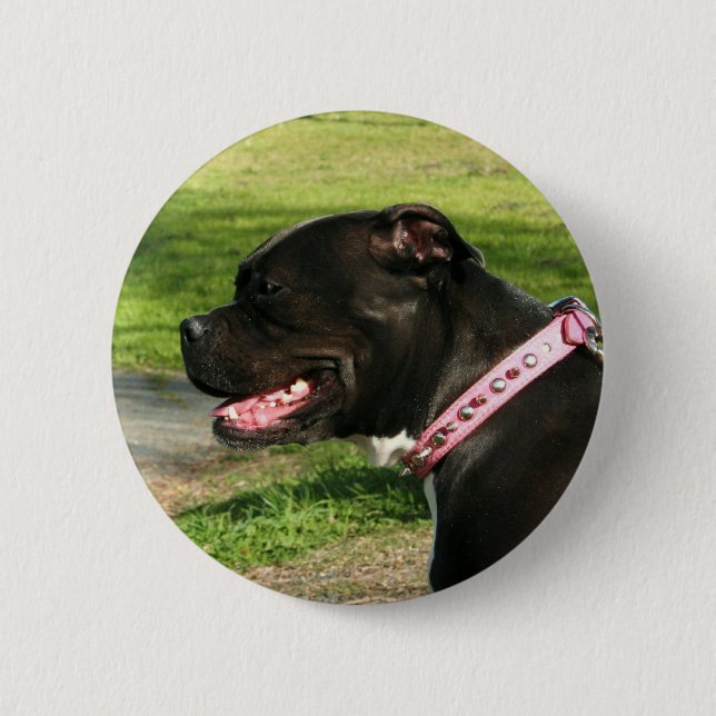 Black Pit Bull Button (Front)