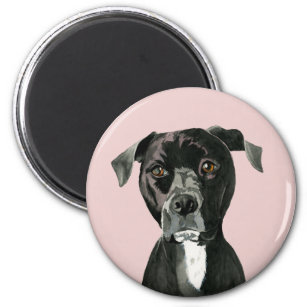 Black Pit Bull Dog Portrait Magnet