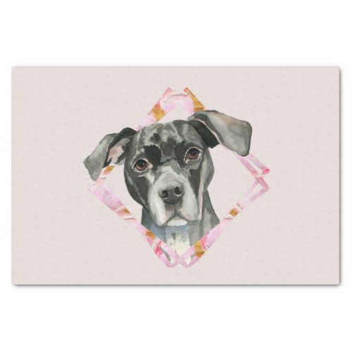 Black Pit Bull Dog Portrait Pink Tissue Paper