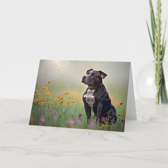 Black Pitbull Birthday Card (Front)