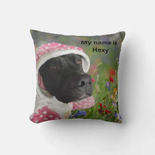 Black Pitbull in a Pink Polka Dot Hood – Floral Me Throw Pillow