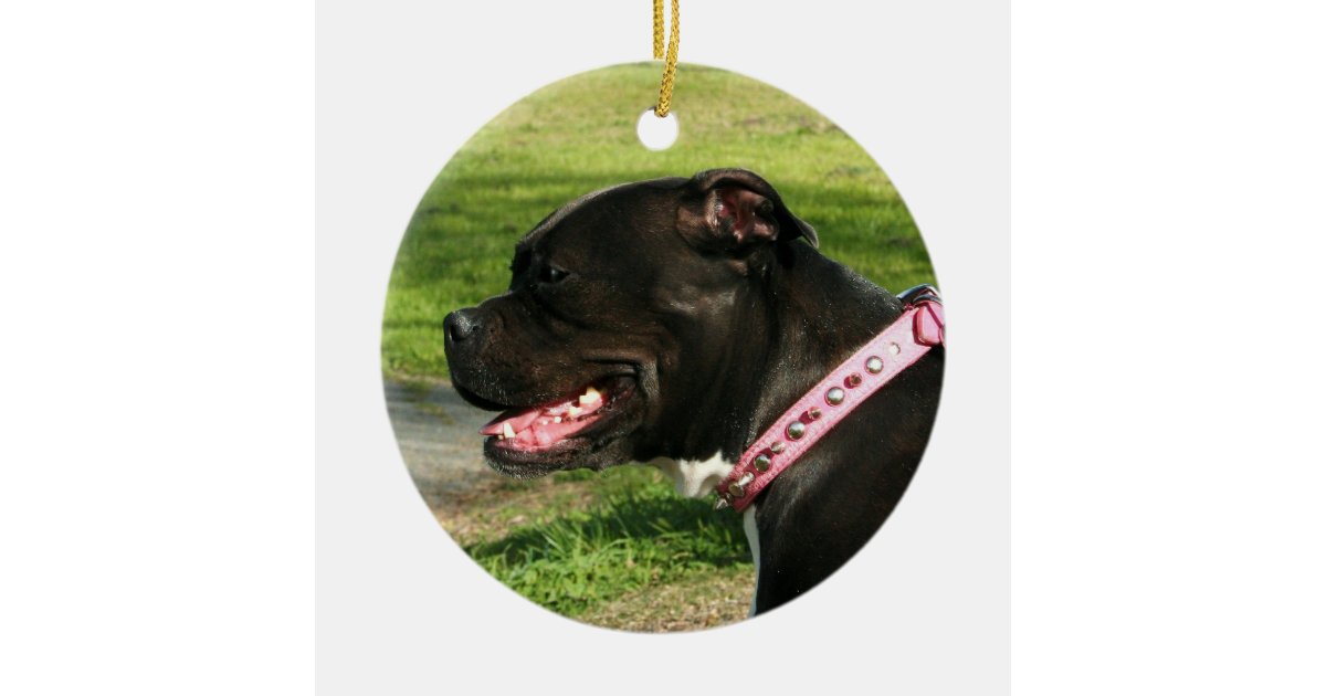 Black pitbull ornament | Zazzle