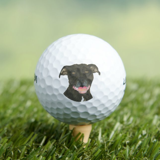 Black Pitbull Staffy Dog Golf Balls (Insitu Tee)