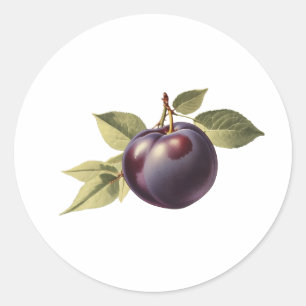 Black Plum with Leaves Classic Round Sticker