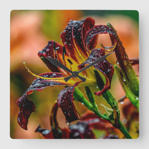 "Black Plush" Daylily Square Wall Clock