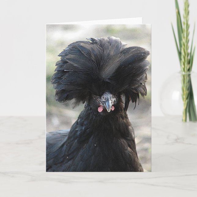 Black Polish Hen Card (Front)