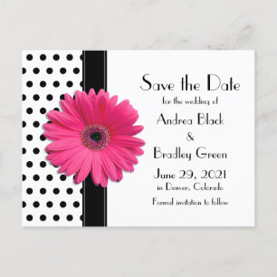 Black Polka Dots Pink Daisy Wedding Save the Date Announcement Postcard