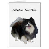 Black Pomeranian (Front)