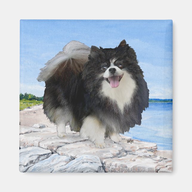 Black Pomeranian at the Seashore Magnet (Front)