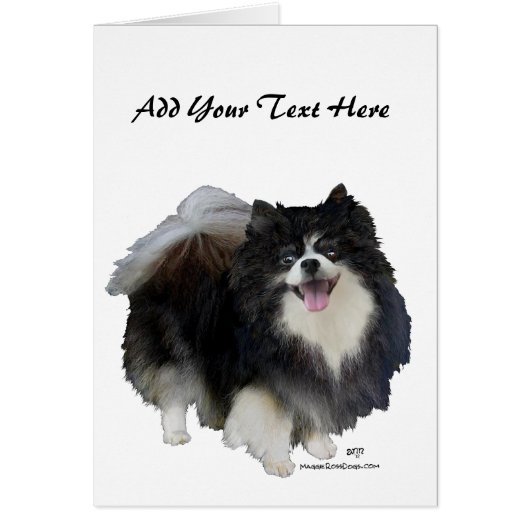 Black Pomeranian Cards (Front)