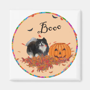 Black Pomeranian Halloween Magnet