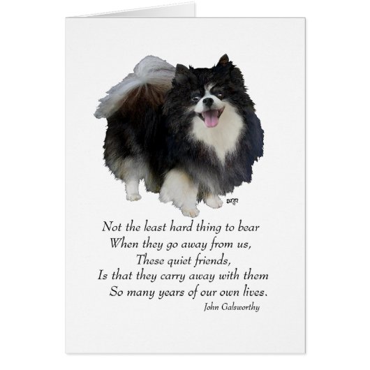 Black Pomeranian Keepsake (Front)