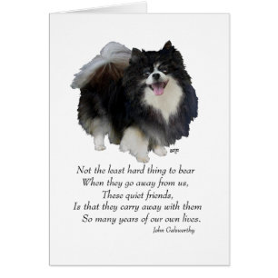 Black Pomeranian Keepsake Cards
