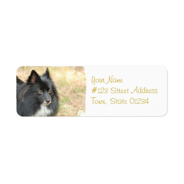 Black Pomeranian Mailing Labels (Front)