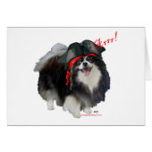 Black Pomeranian Pirate - Arrr! (Front Horizontal)