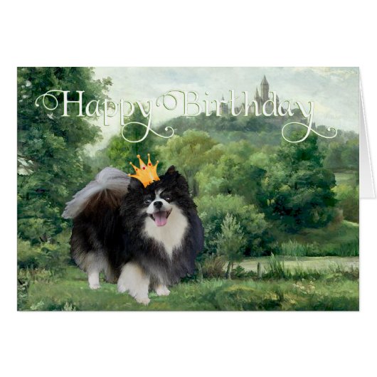Black Pomeranian Prince Cards (Front Horizontal)