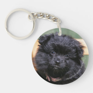 Black Pomeranian Puppy Keychain