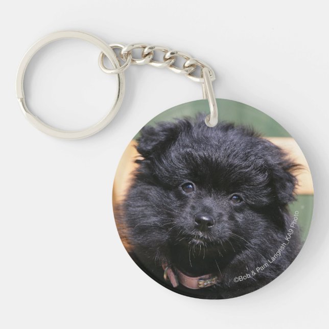 Black Pomeranian Puppy Keychain (Front)