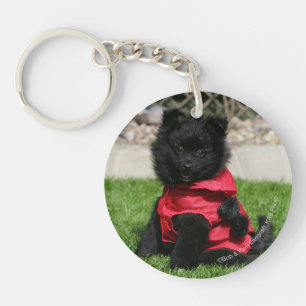 Black Pomeranian Puppy Looking at Camera Keychain