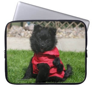 Black Pomeranian Puppy Looking at Camera Laptop Sleeve