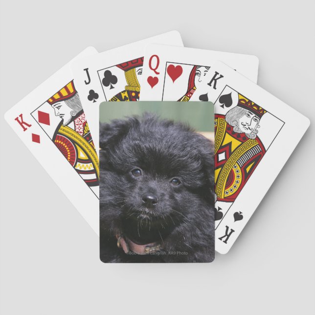 Black Pomeranian Puppy Poker Cards (Back)